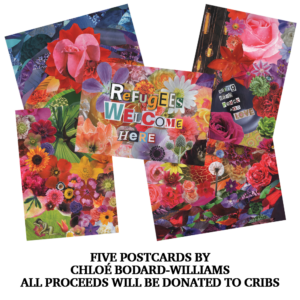 Chloé Bodard-Williams - Cribs Postcard Pack